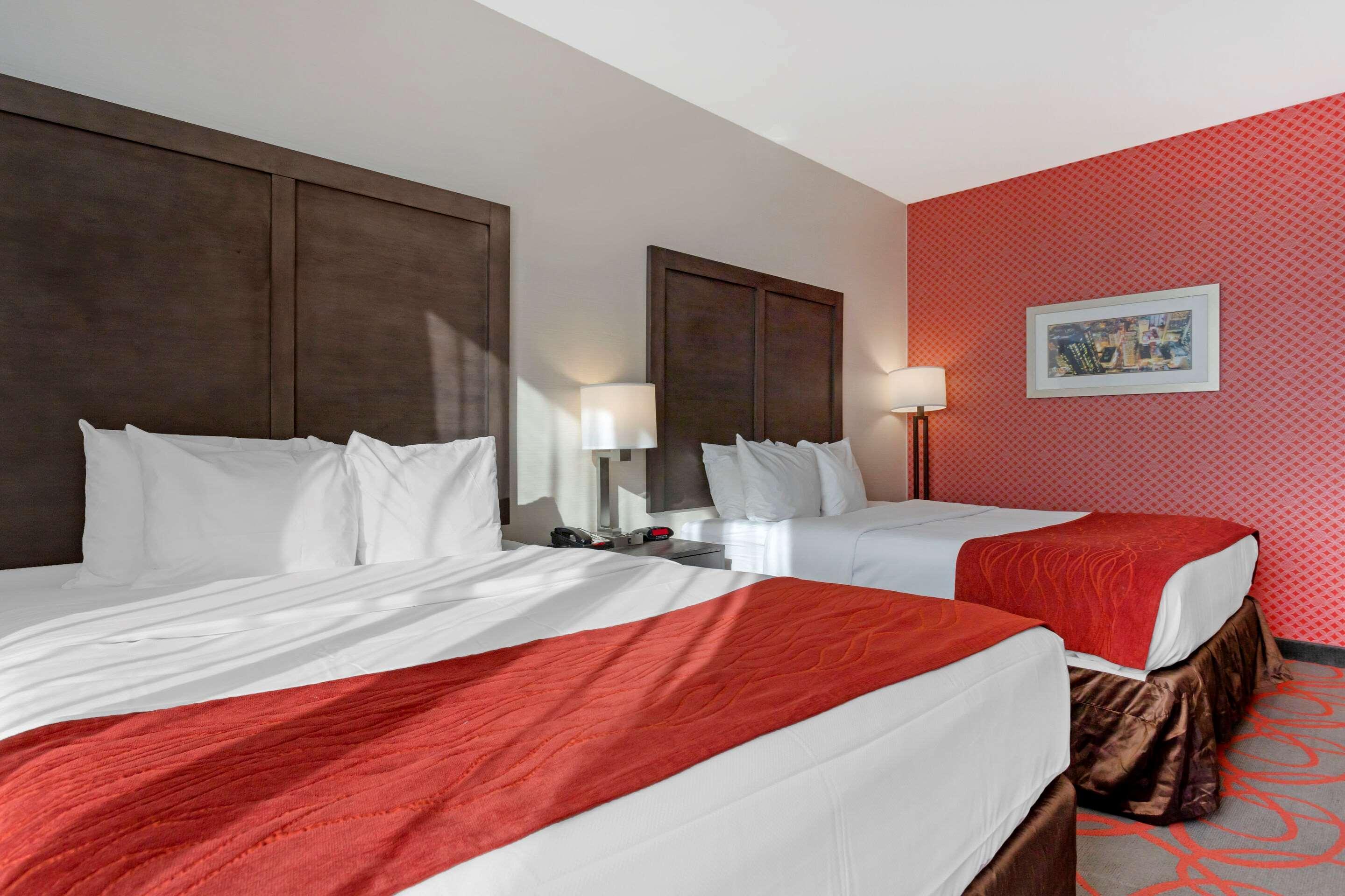 Comfort Inn & Suites Near Stadium New York Bagian luar foto